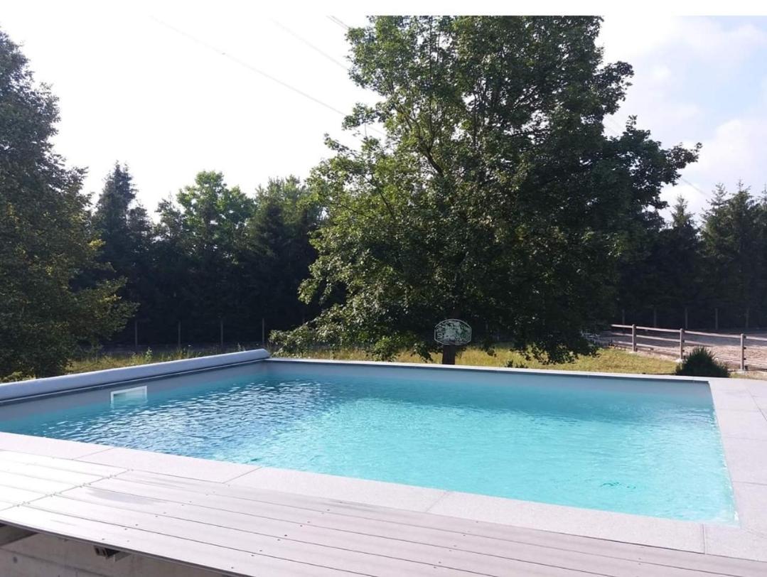 Repos Rouge-Plaisir Au Milieu Des Chevaux Apartment Kembs Exterior photo